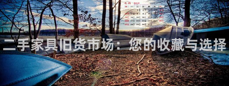 龙八国际发哥下载