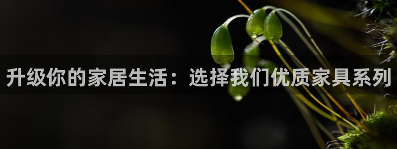 龙八国际手机版登录