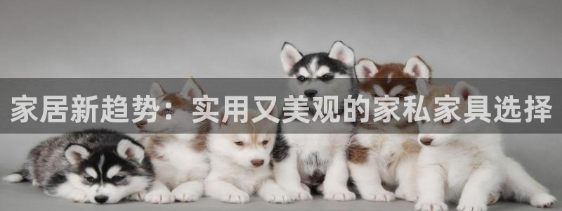 龙八国际平台首页