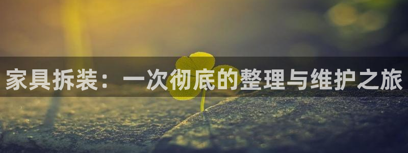 龙八国际pt娱乐