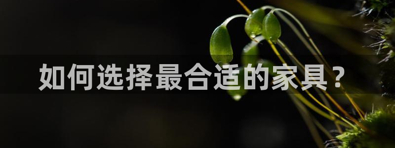 龙八国际手机游戏官网