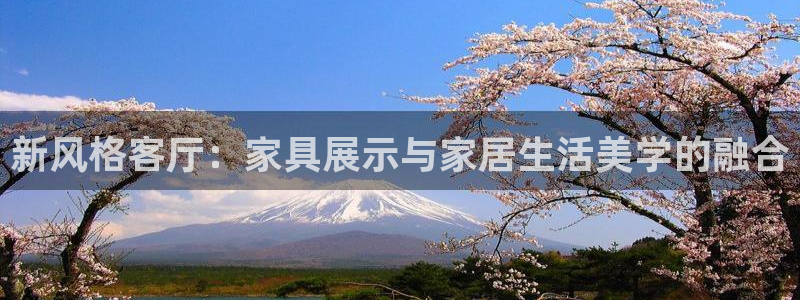 龙八国际app电话号码