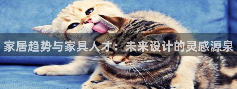下载龙八国际手机版安装