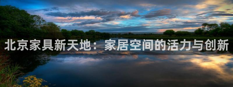 龙八国际apPP