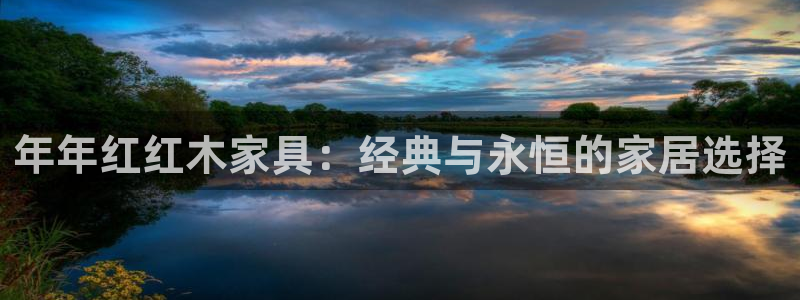 龙八国际集团