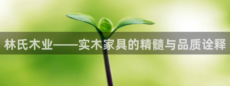 龙八国际怎么注册app