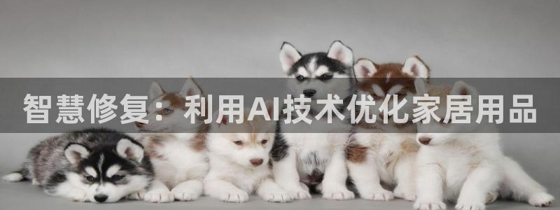 龙八国际服官网入口地址