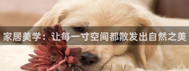 龙八国际手机网页版