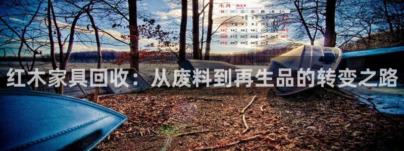 龙八国际相似的平台