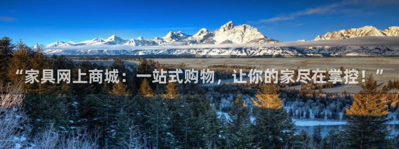 龙八国际菲律宾官网