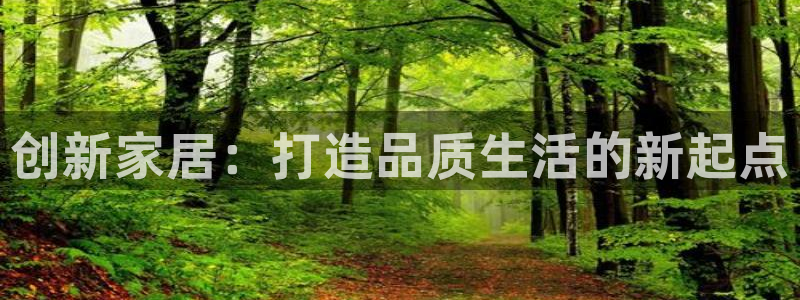 龙八国际手机版官方版app下载