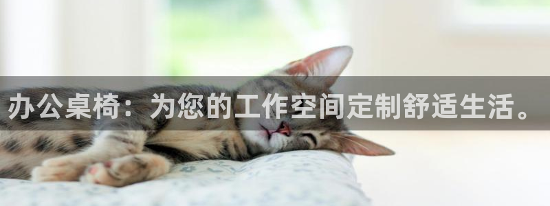 菲律宾的龙八国际输钱