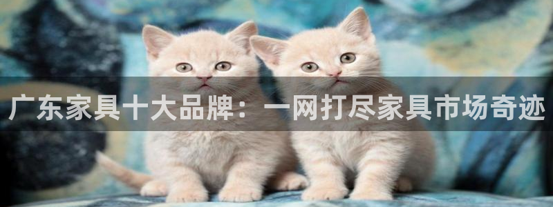 龙八国际安全