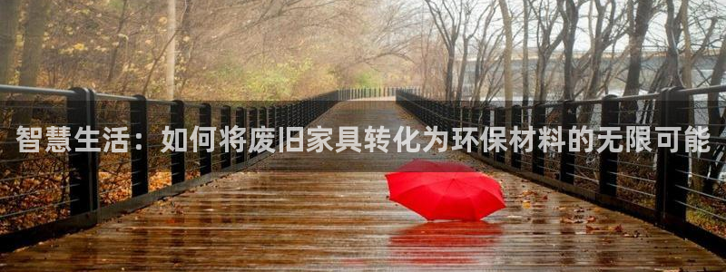 龙八国际电话