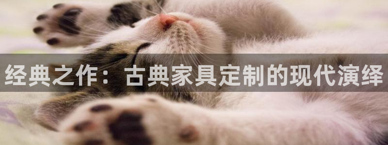 龙八国际官方