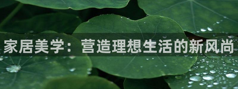 龙八国际官方