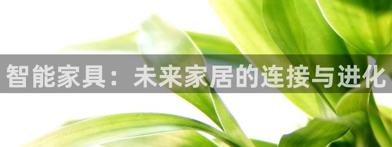 龙八国际娱乐