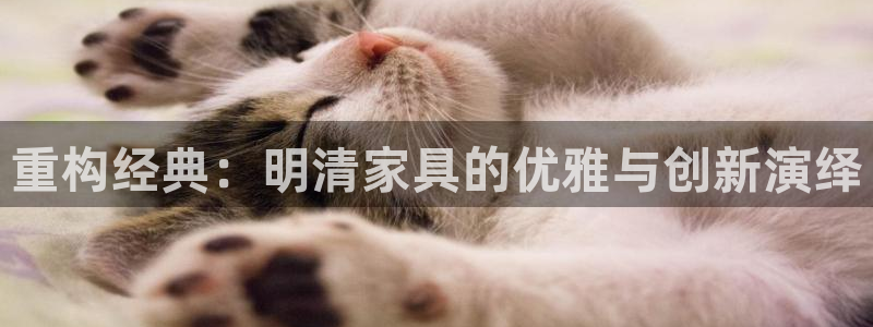 龙八国际 我的