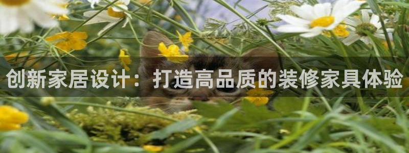 龙八国际娱乐靠谱吗