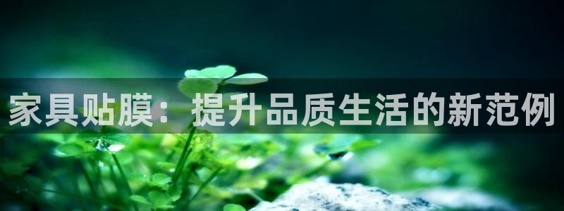 龙八国际app下载安装