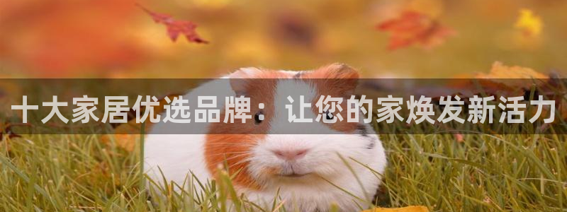 龙八国际手机版下载注册