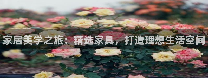 龙八国际娱乐pt老虎机