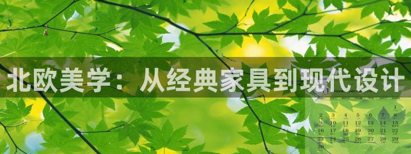 龙八国际有限责任公司