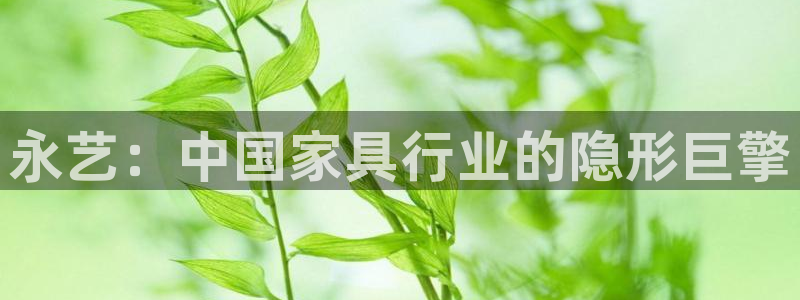 龙八国际官网入口