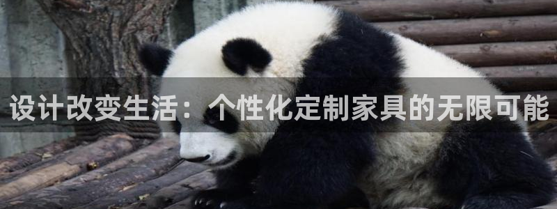 龙八国际可以京东充值吗