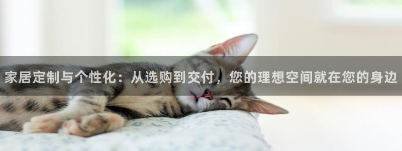 龙八国际可靠：家居定制与个性化：从选购到交付，您的理想空间就