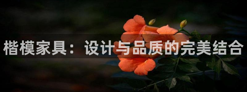 龙八国际什么游戏给钱