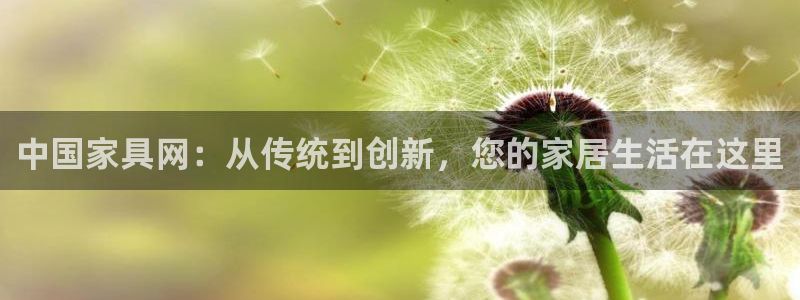 龙八国际q18 tv：中国家具网：从传统到创新，您的家居生活