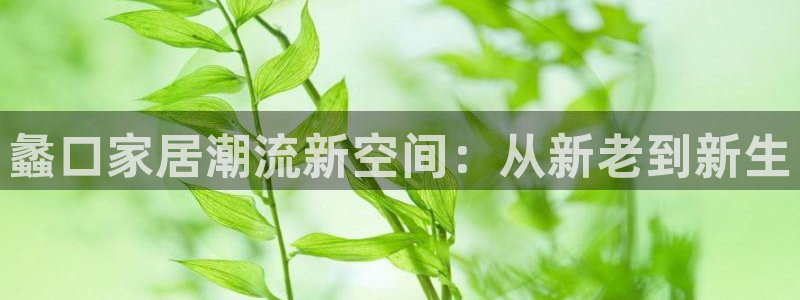 龙八国际新版