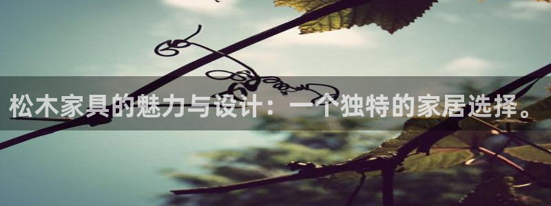 龙八国际服官方