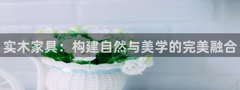 石家庄龙八国际老板是谁