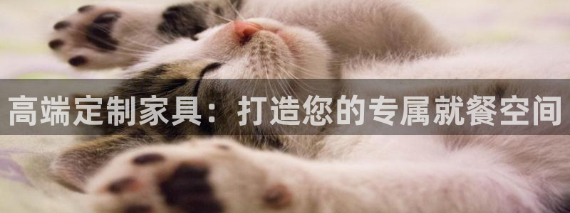 龙八国际客户端app