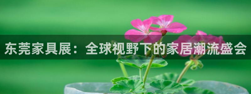 龙八国际app电话号码