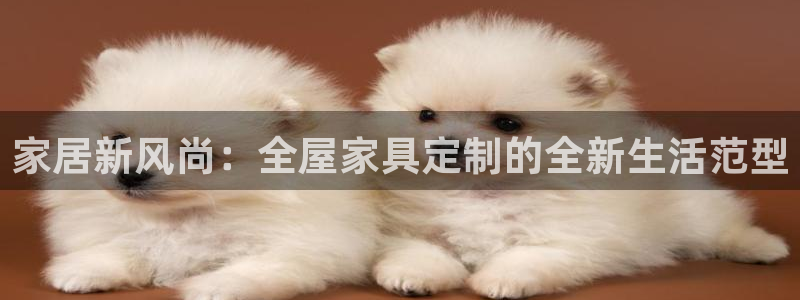 龙八国际long88