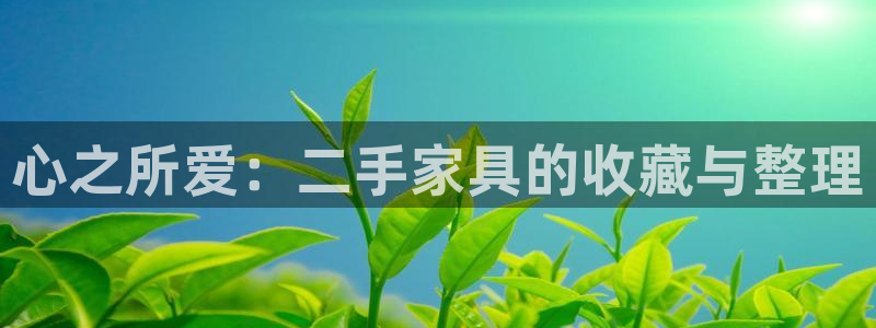龙八国际网页