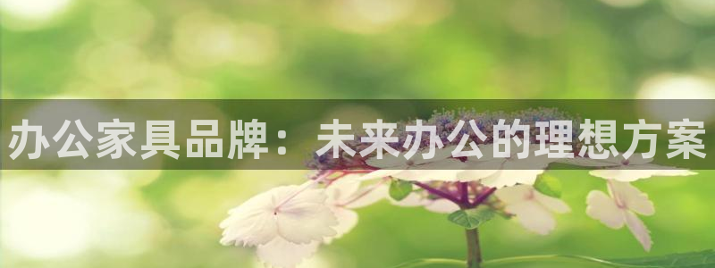 龙八国际体育