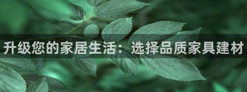 龙八国际娱乐官网手机