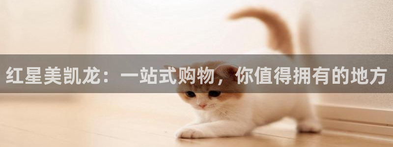 龙八国际赌博经验