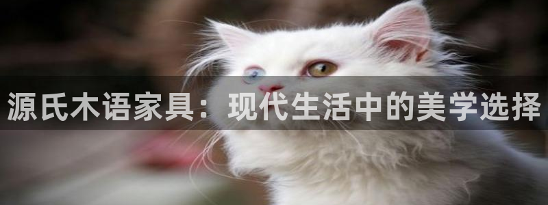 龙八国际app怎么下载
