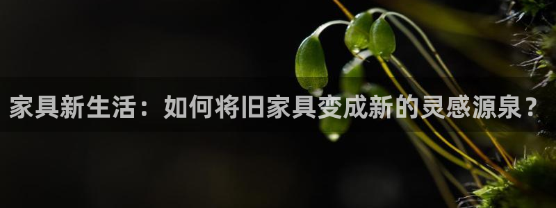 龙八国际服