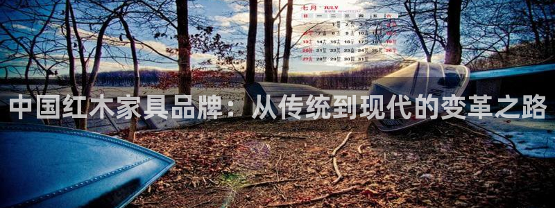 龙八国际l8520