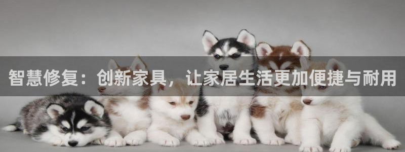 菲律宾龙八国际：智慧修复：创新家具，让家居生活更加便捷与耐用