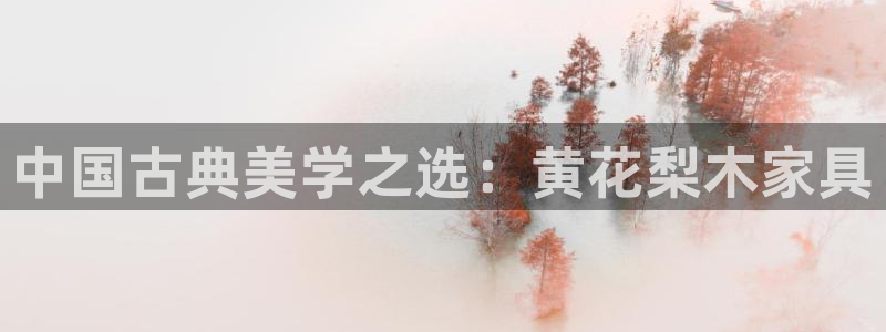 龙八国际服官网下载安卓