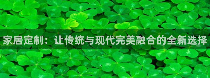 龙八国际视频入口