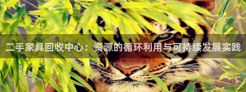 龙八国际首页
