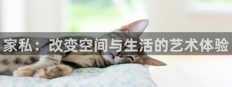龙八国际手机版下载官网